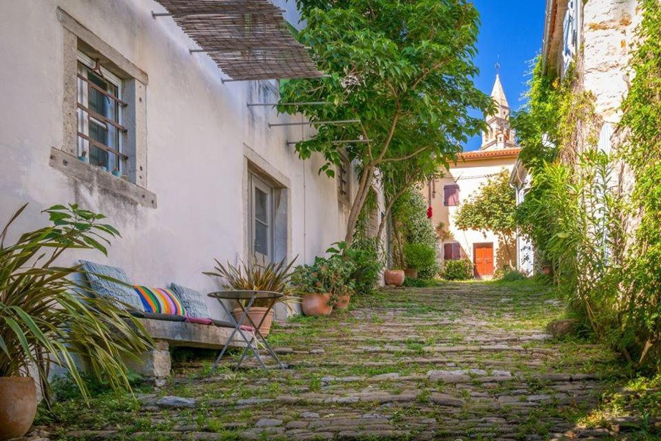Casa Pino Pina Leilighet Motovun Eksteriør bilde