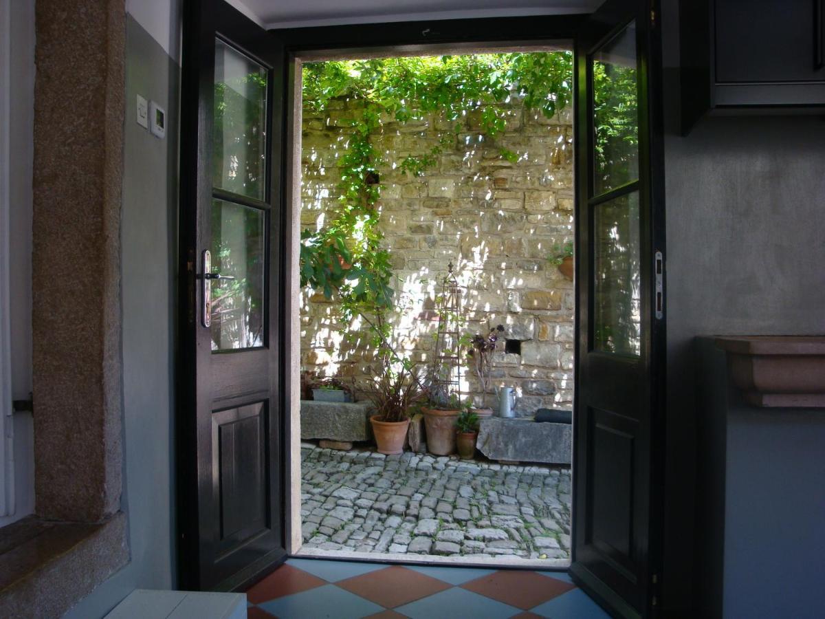 Casa Pino Pina Leilighet Motovun Eksteriør bilde
